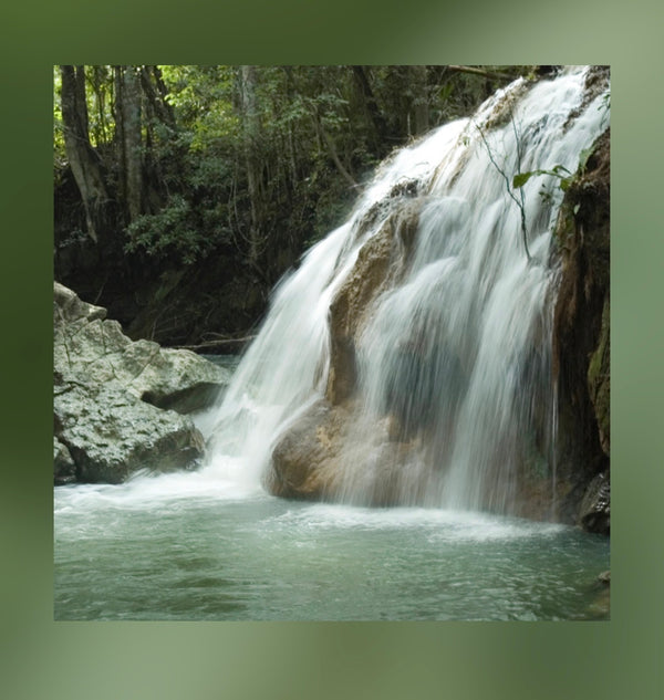 Nature Sounds Lite