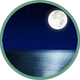 Ocean and Crickets
