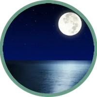 Ocean and Crickets
