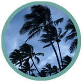 Tropical Storm