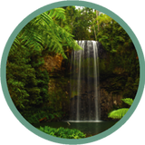 Steady Waterfall